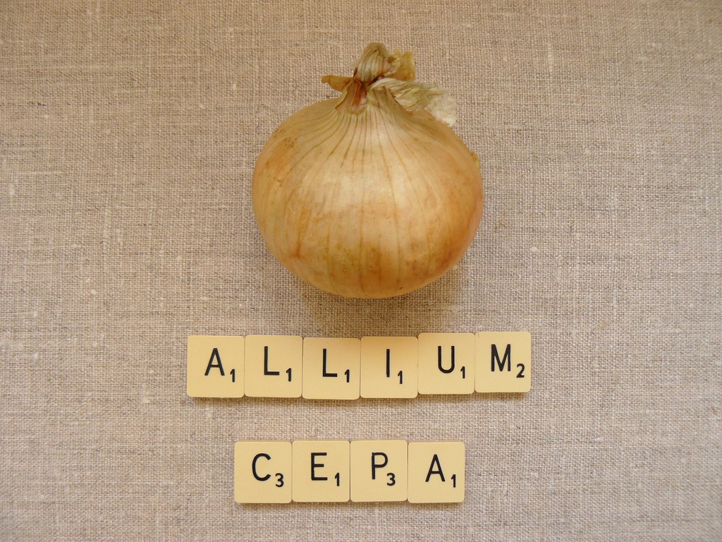 4614800885_c7c690bdf5_b