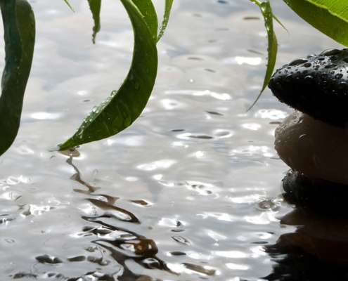 Dolore neuropatico e sistema nervoso