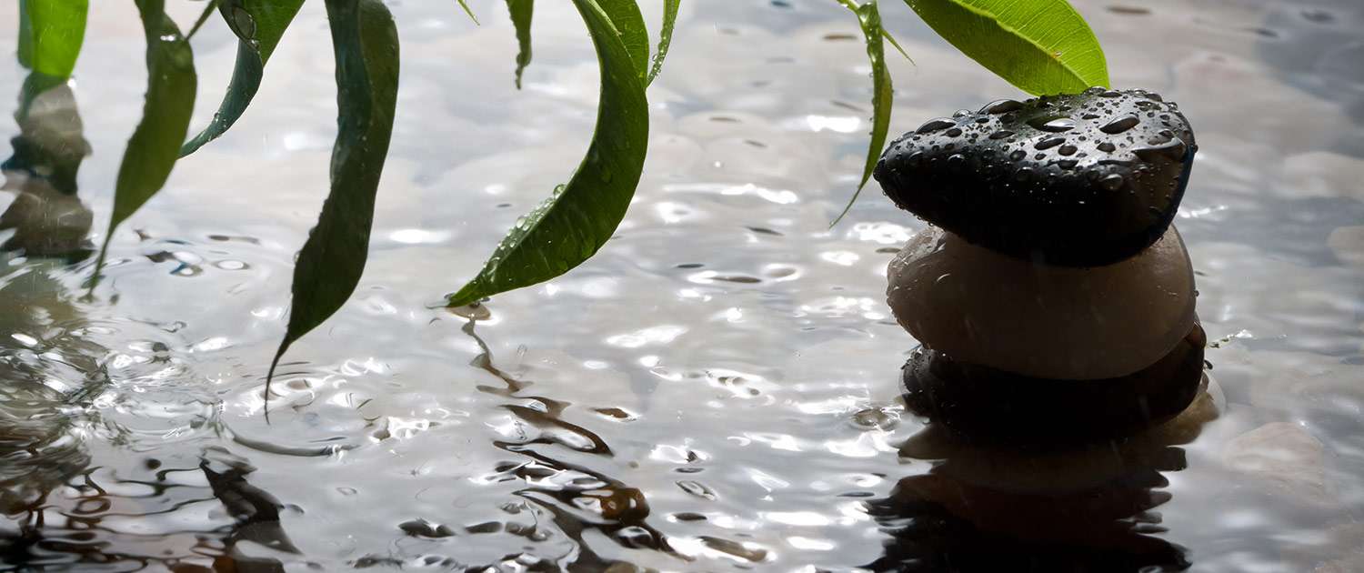 Dolore neuropatico e sistema nervoso Dolore neuropatico e sistema nervoso